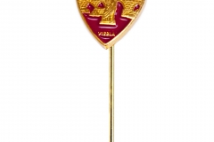 Pin dourado